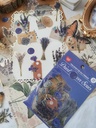 Stickers Dried flower series