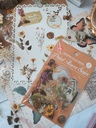 Stickers Dried flower series