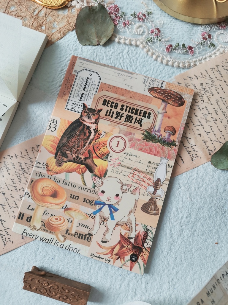 Libro de stickers Retro