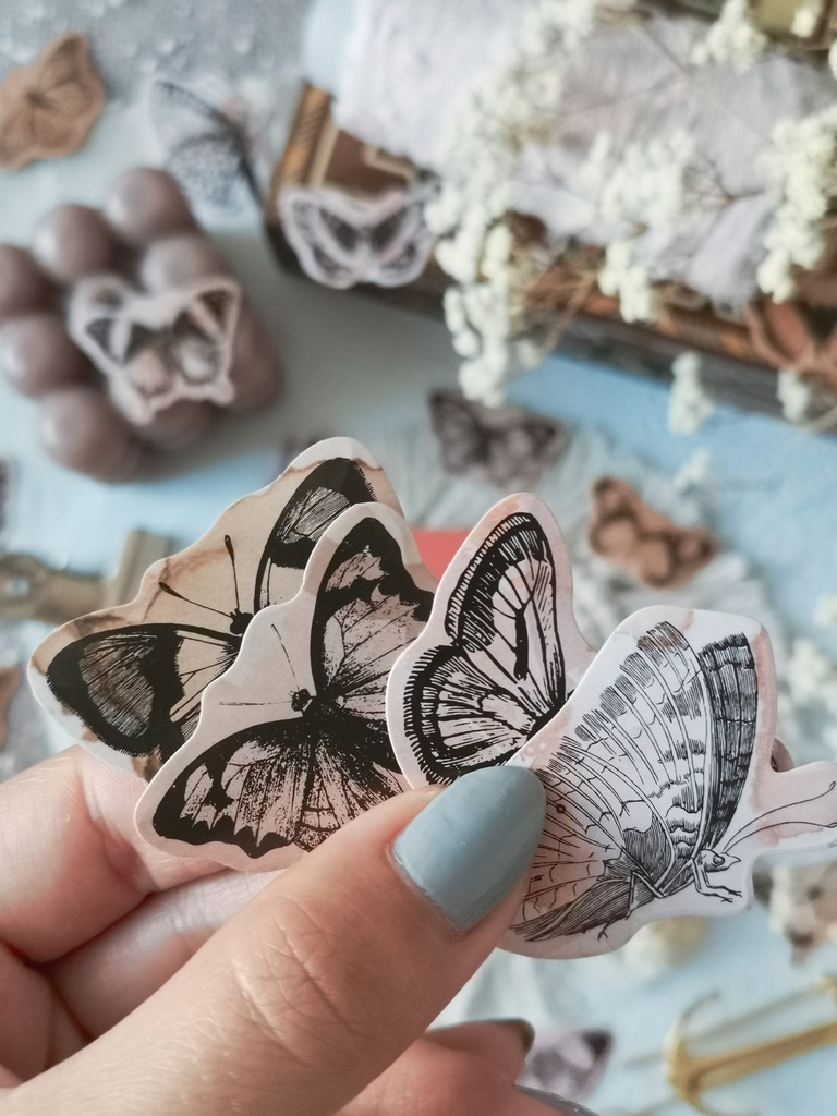 Cajita de stickers Kraft butterfly