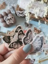 Cajita de stickers Kraft butterfly