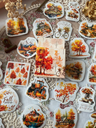 Cajita de Stickers Echo of Autumn