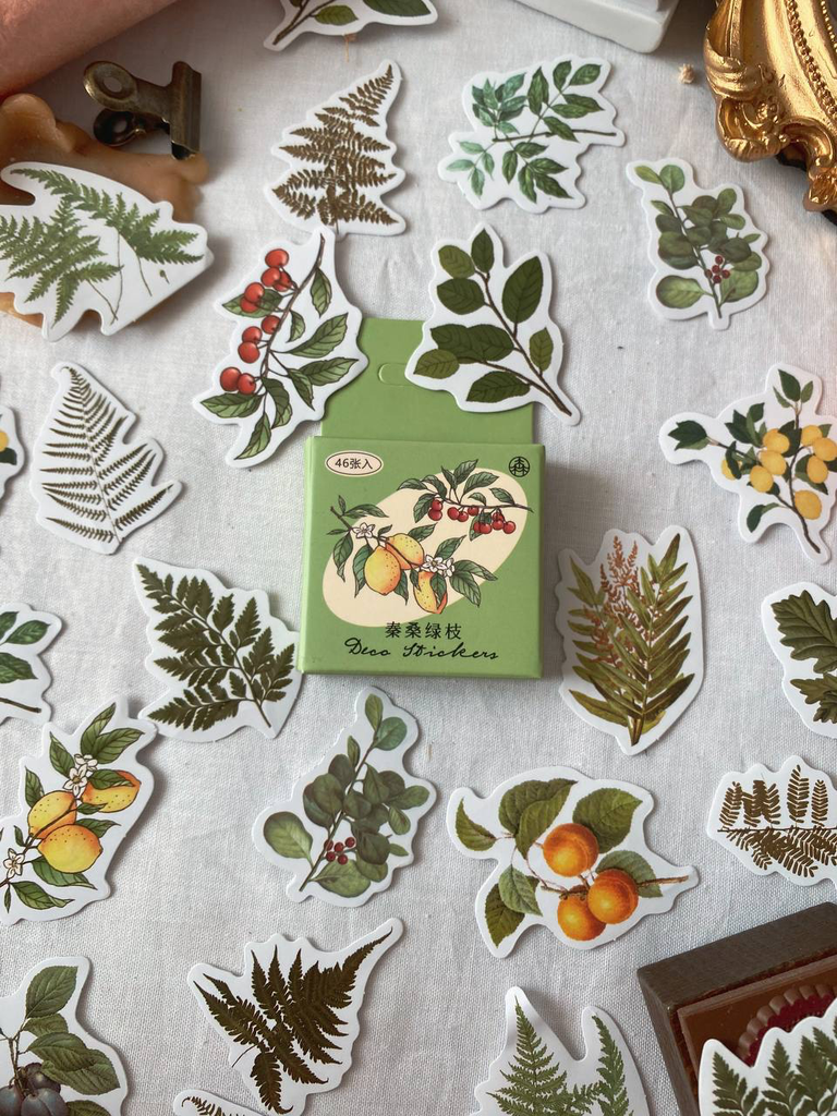 Cajita Deco Stickers Plantas