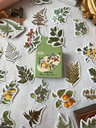Cajita Deco Stickers Plantas