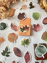 Cajita Deco Stickers Hojas